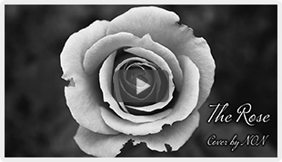 LIVEプロジェクション映像　The Rose